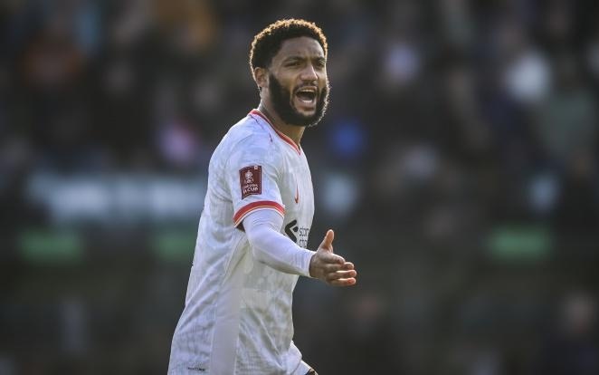 在接受采访 在接受采访