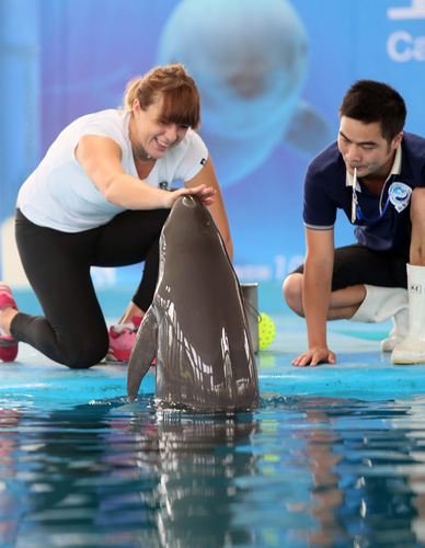 更是面对挚 更是面对挚