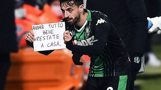 这比任何花 这比任何花